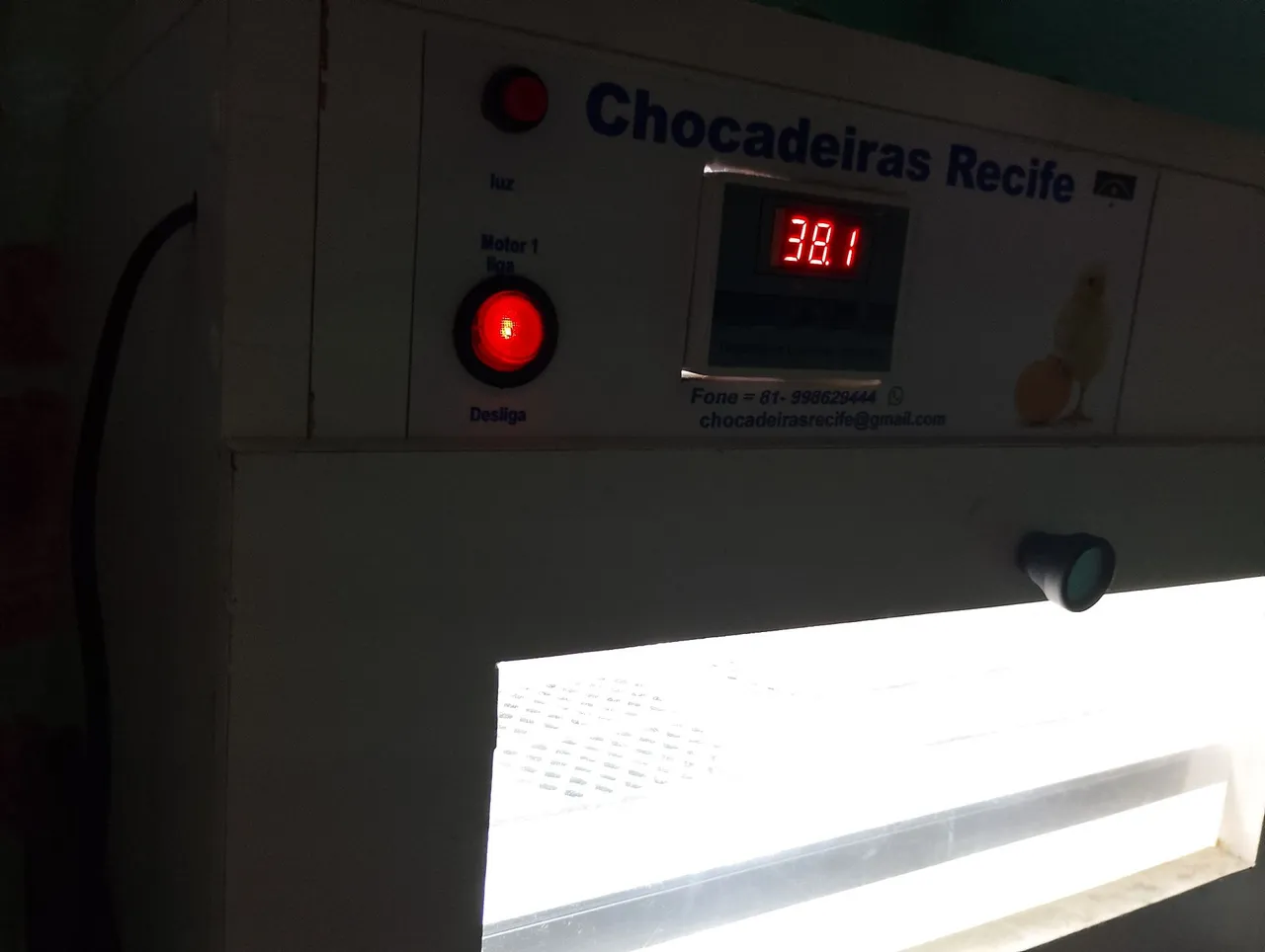 Chocadeira Recife - 60 ovos ideal para aves de grande e médio porte