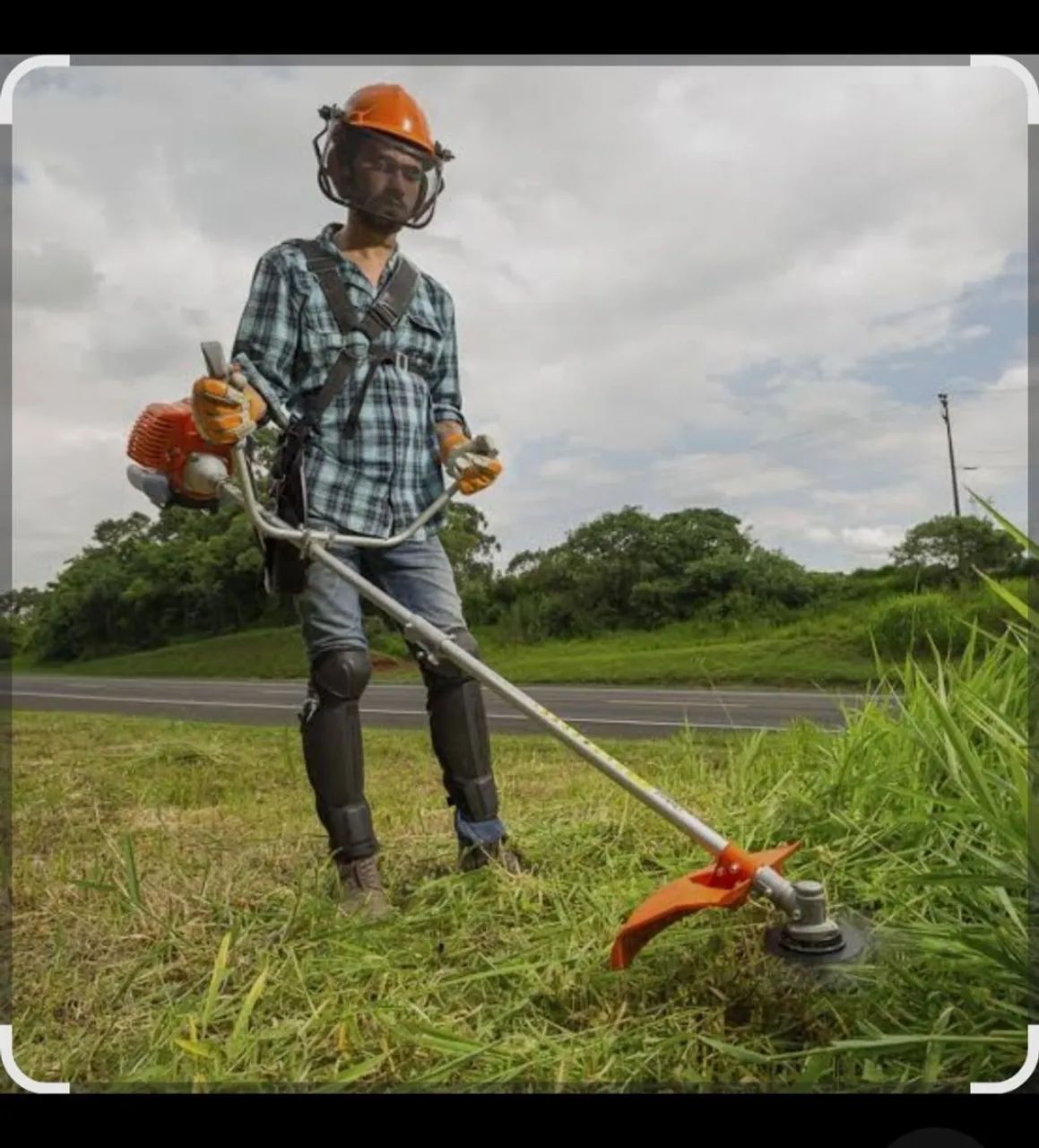 Roçada e poda de arvores  R$ 100. - Foto 2