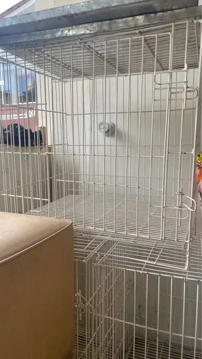 Gaiolas para animais - Foto 5