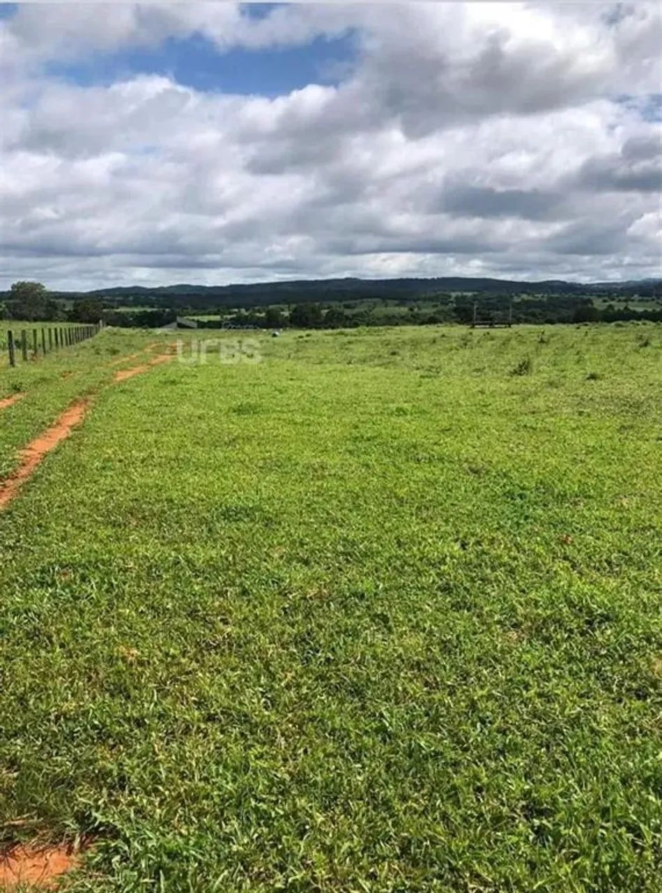 Fazenda na Regiao de Cocalinho - MT - Foto 11
