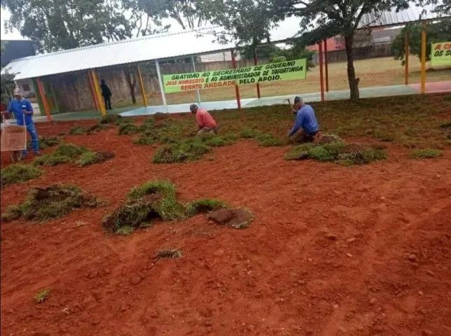 GRAMAS JA PLANTADAS A PARTIR DE 9 REAIS .. - Foto 2