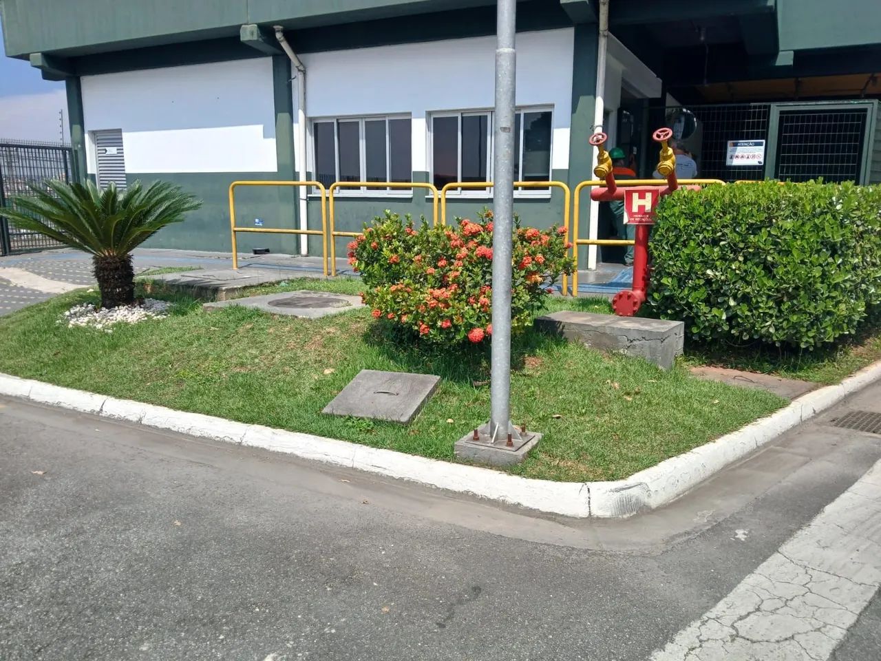 Jardim com grama e plantas - Foto 2
