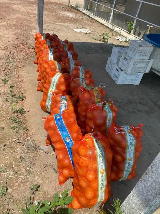 Tarrafas de MARACUJÁ  - Foto 4