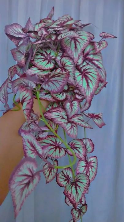 Planta artificial linda nova 55 reais 