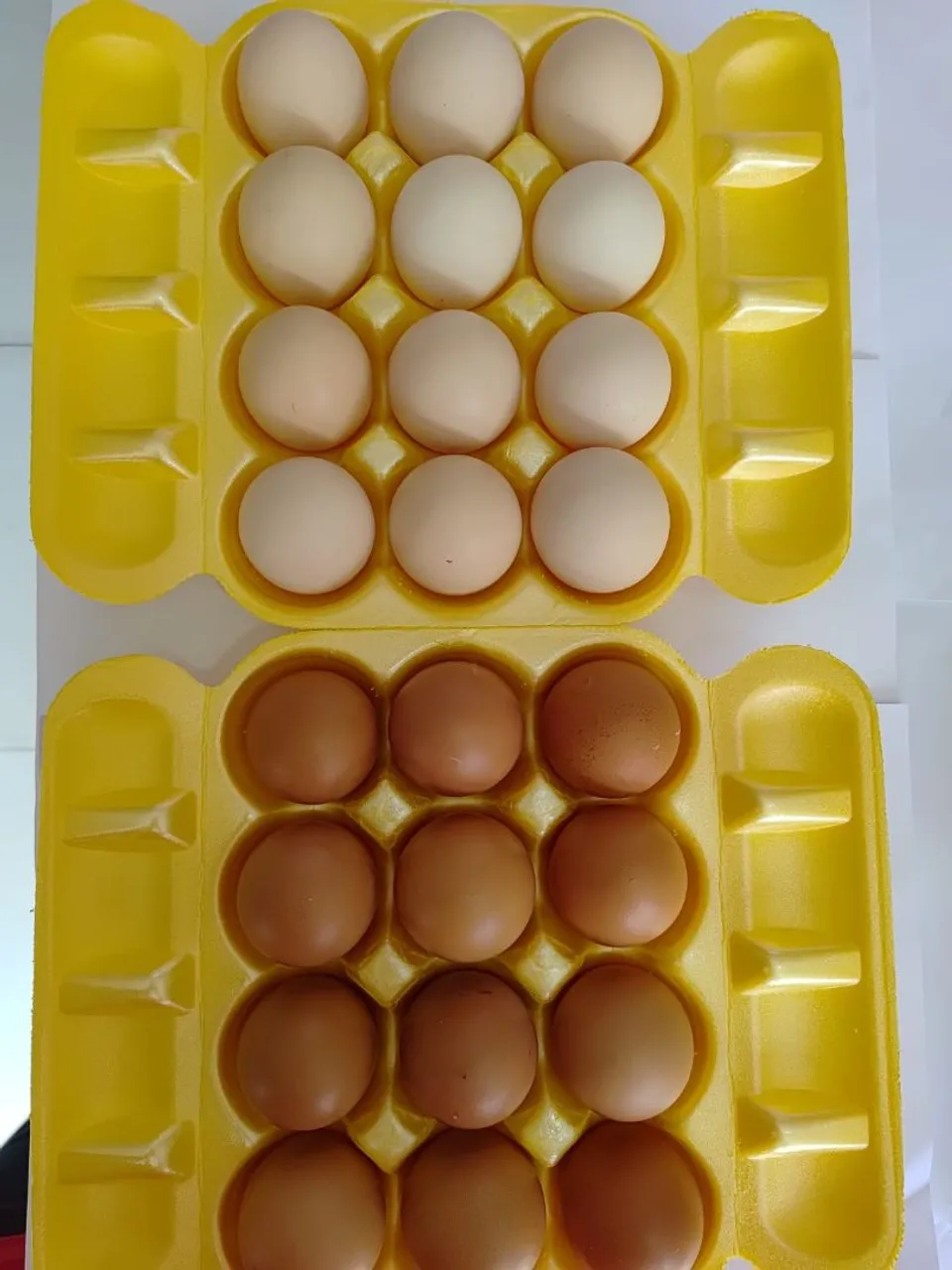 Ovos Frescos de Galinha Caipira - bandeja com 12 unidades, pedido mínimo 10duzias