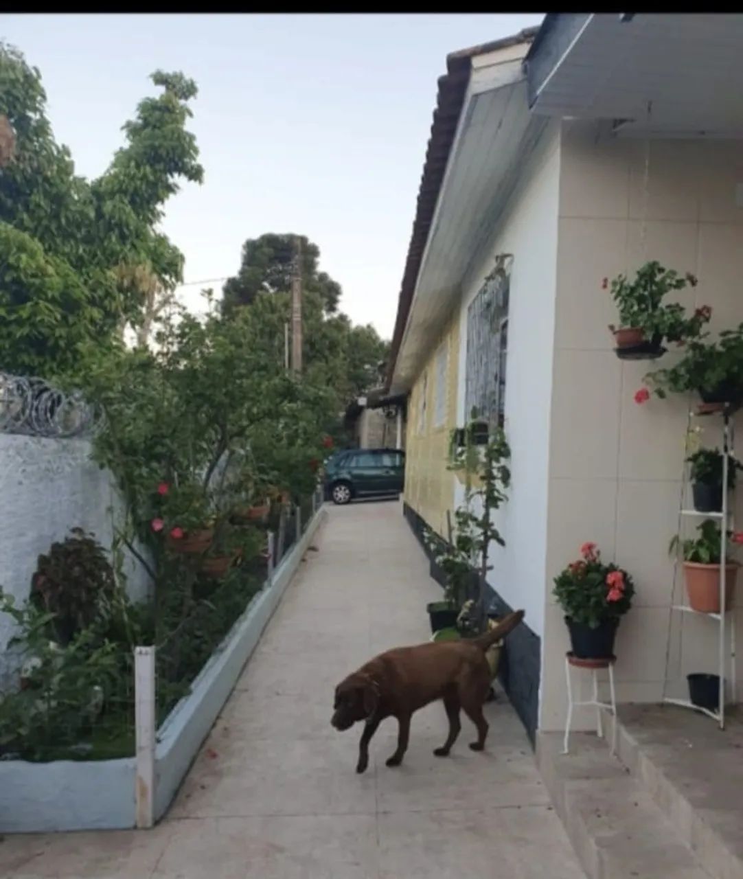 Foto - Porto Alegre - Mário Quintana