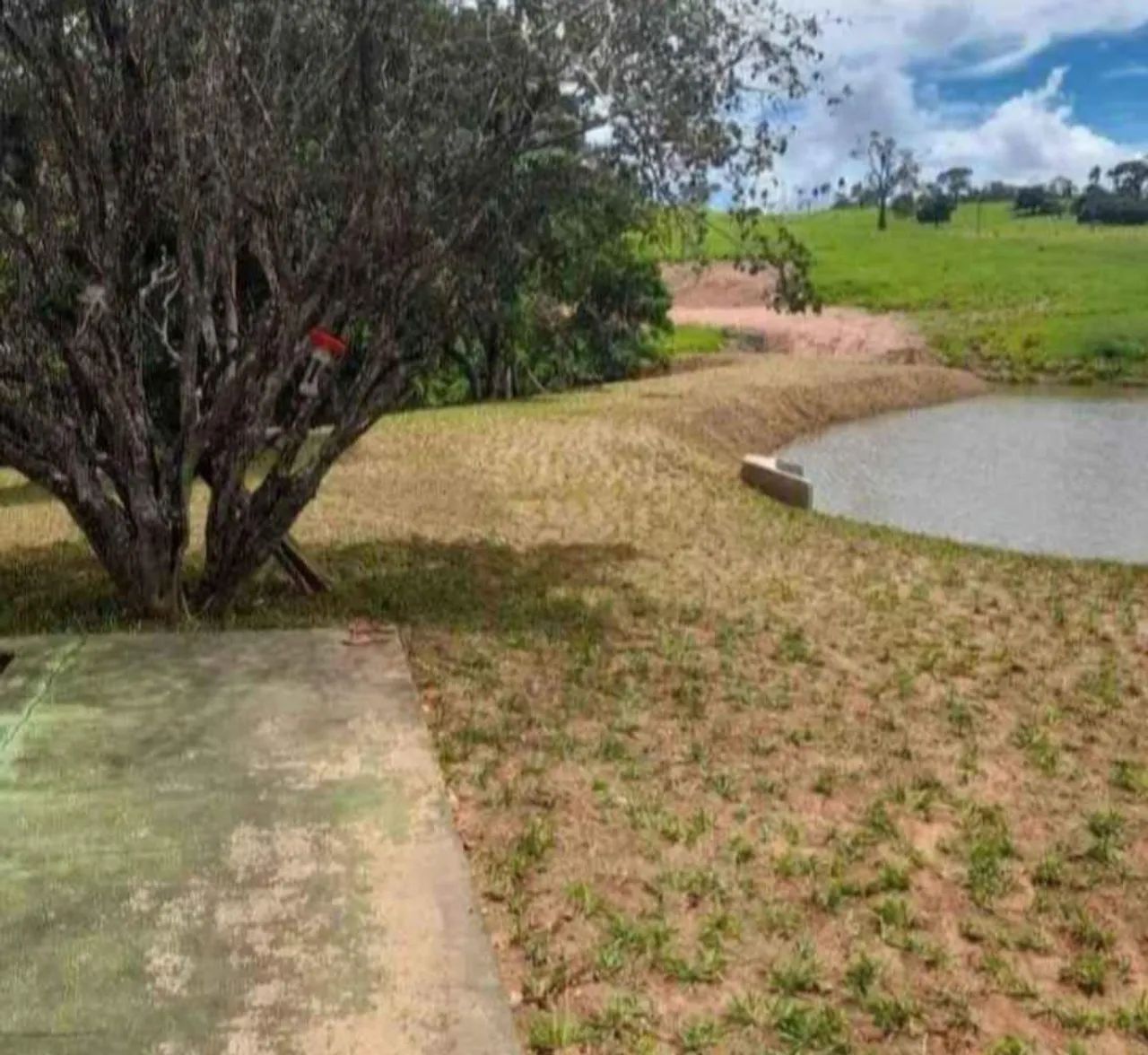 Gramas apartir de 6,99 ó m2 já plantado! - Foto 5