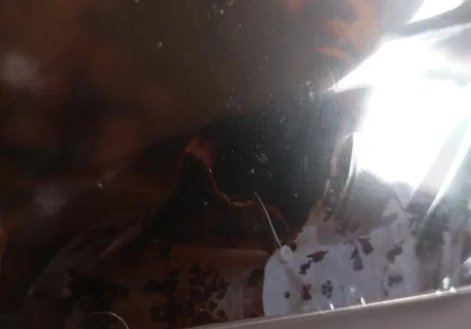 Cd Michael Jackson Ben ( Lacrado ) Original - Foto 2