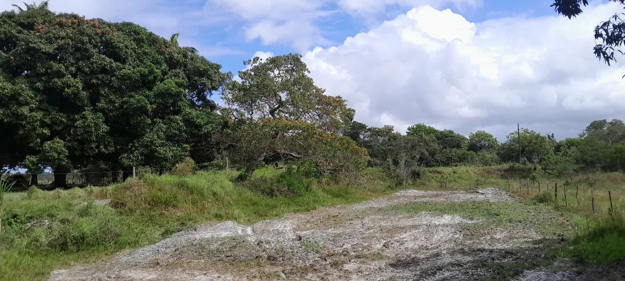 Sitio 3 taferas itaporanga  - Foto 4