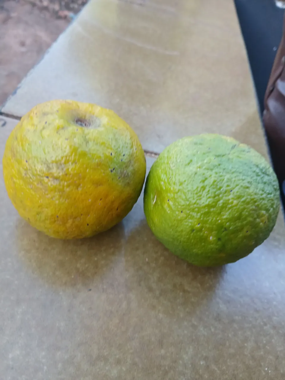 Laranjas frescas boas para doces sucos e drinks