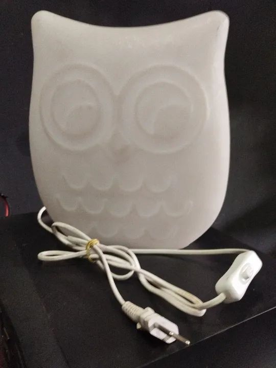 Luminária Coruja em LED - Iluminação Criativa - Foto 2