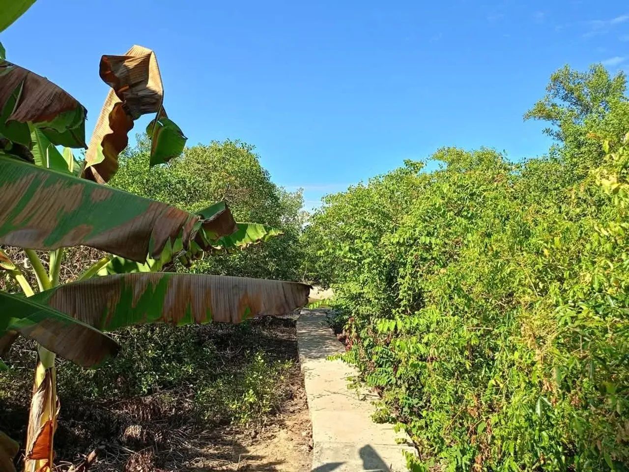 Ótimo terreno plano a venda em condomínio fechado c/ saída para bela praia em Itaparica-Ba - Foto 3
