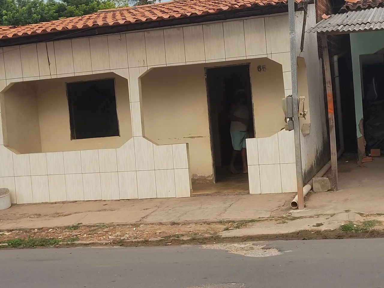 Foto - Raposa - 