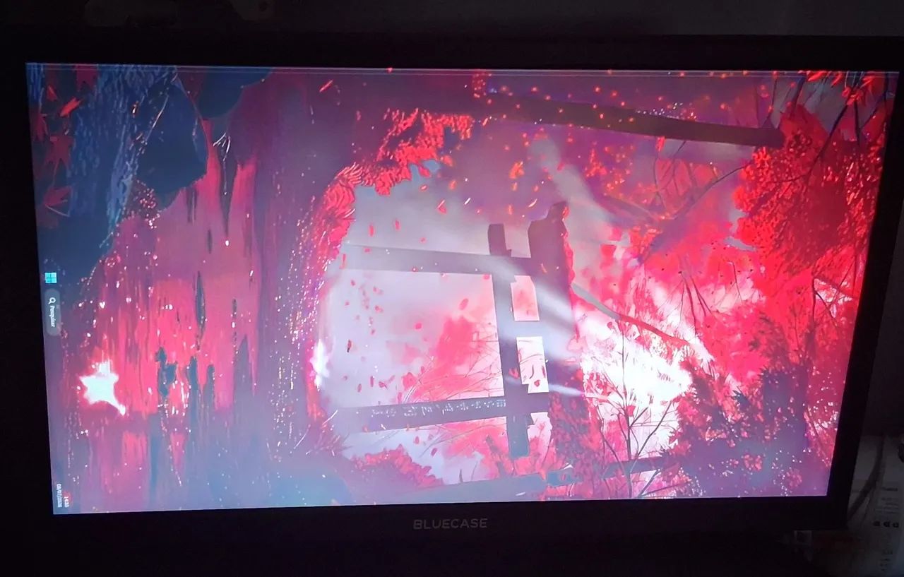 Monitor