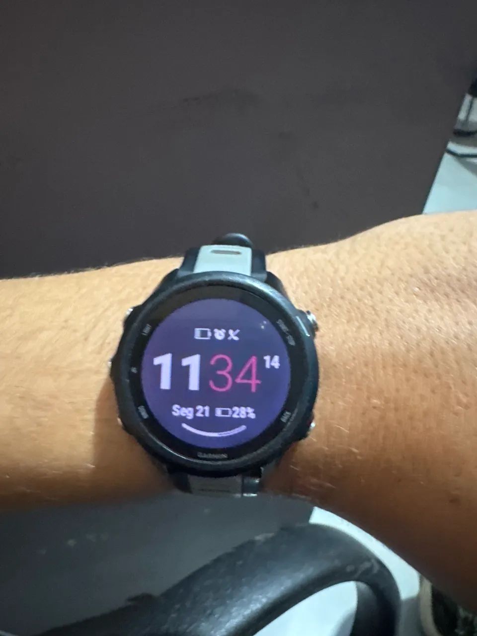 Garmin 245