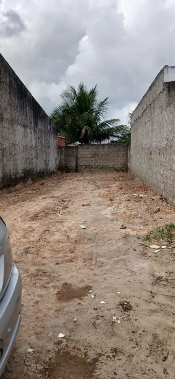 LOTE NA MATA  DO ROLO - Foto 2
