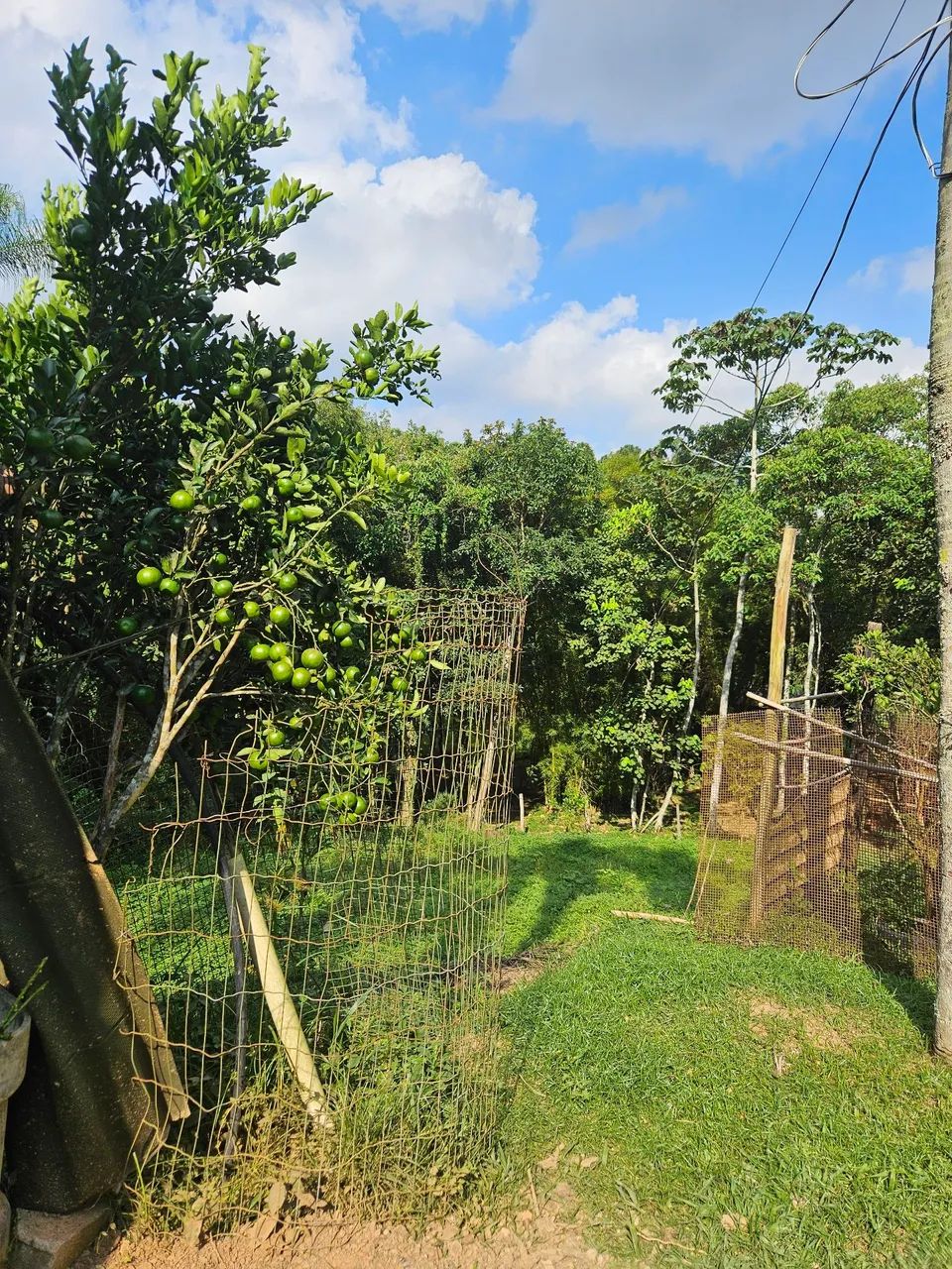 Terreno em Itapecerica da Serra  - Foto 3