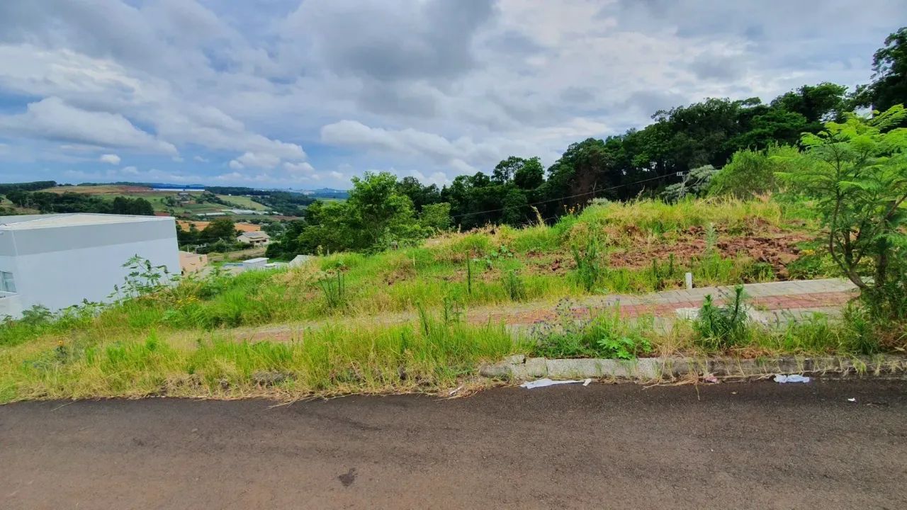 TERRENO NO DESBRAVADOR - Foto 4