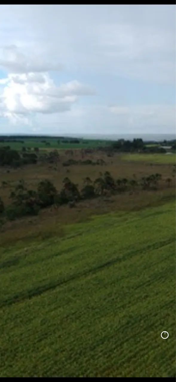 Fazenda próximo monte alegre se minas 58 hectares  - Foto 3