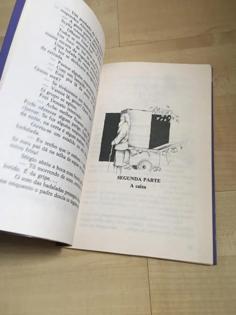 Livro A caixa de sonhos  - Foto 4