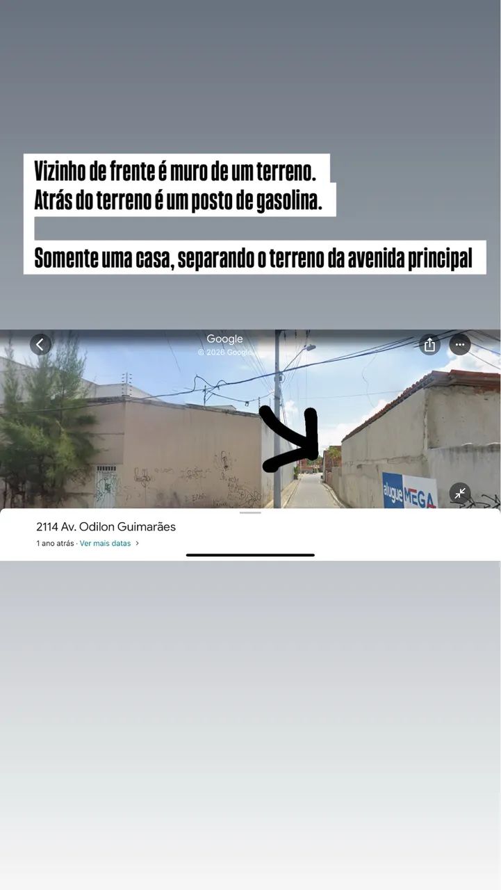 Foto - Fortaleza - Curió