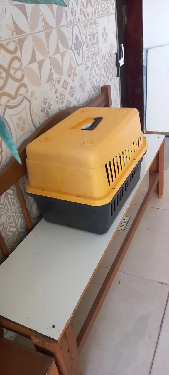 Caixa de transporte de animais n° 4