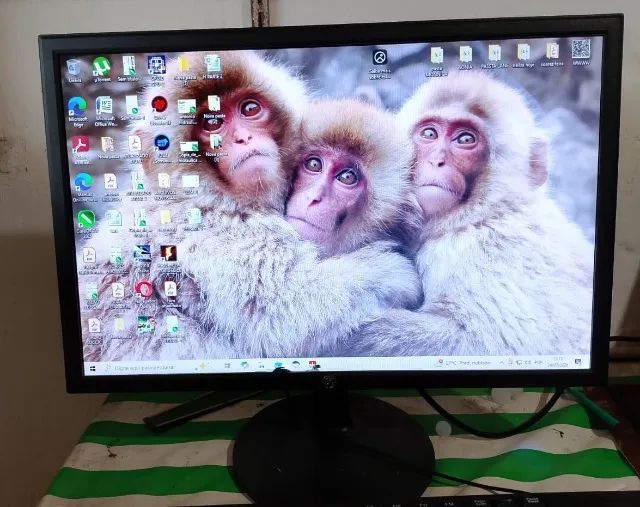 monitor 19 polegadas 