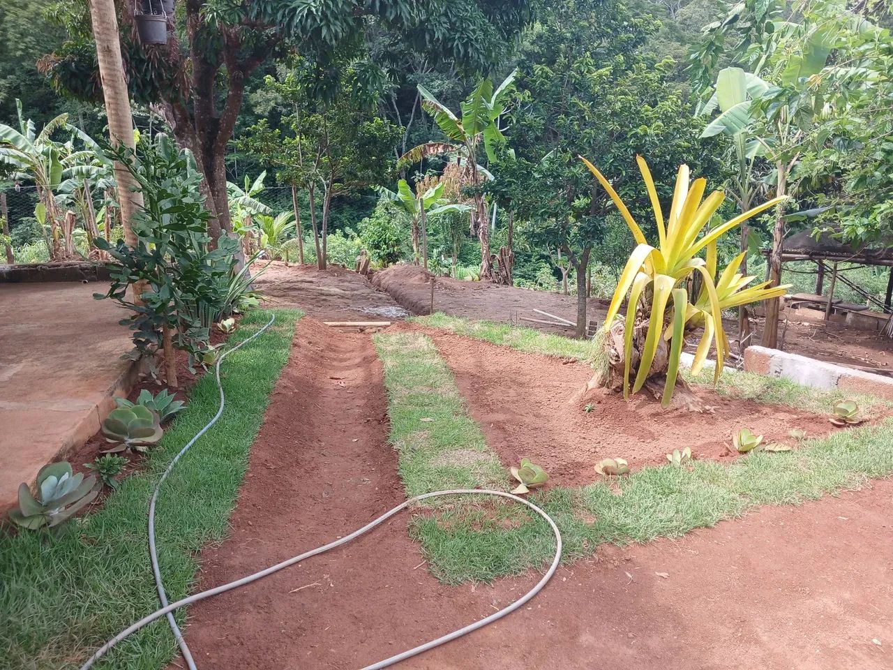 Fazendinha  - Foto 2