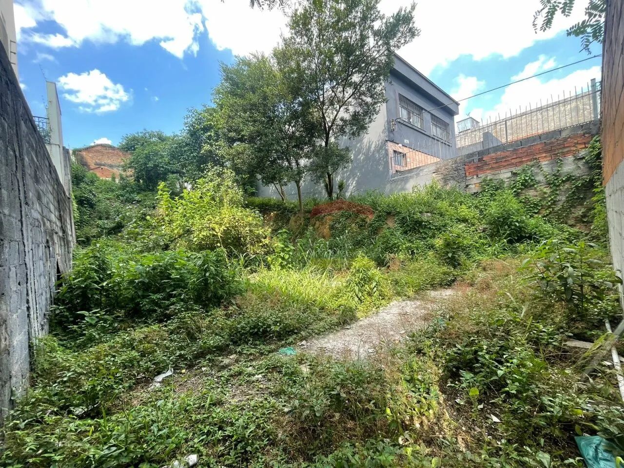 TERRENO PARA VENDA VILA GUILHERME - Foto 2