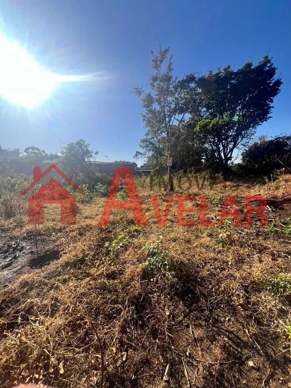 Terreno para venda, Morada Nova, Uberlândia - TE961 - Foto 5