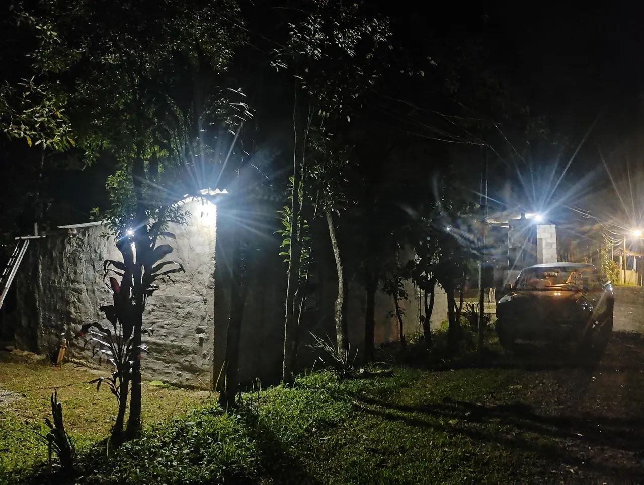 Foto - São Paulo - Jardim Belaura