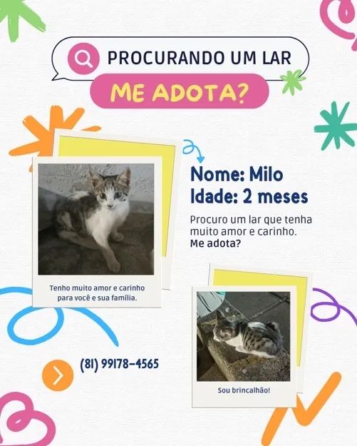 ADOÇÃO RESPONSÁVEL 