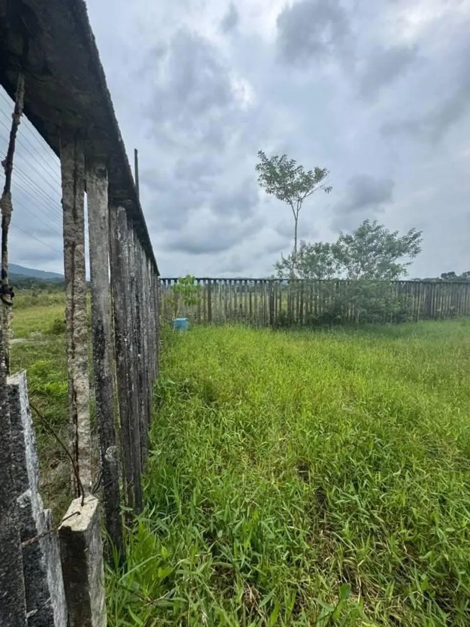 Lote/Terreno à Venda, Coronel - Itanhaém - Foto 4