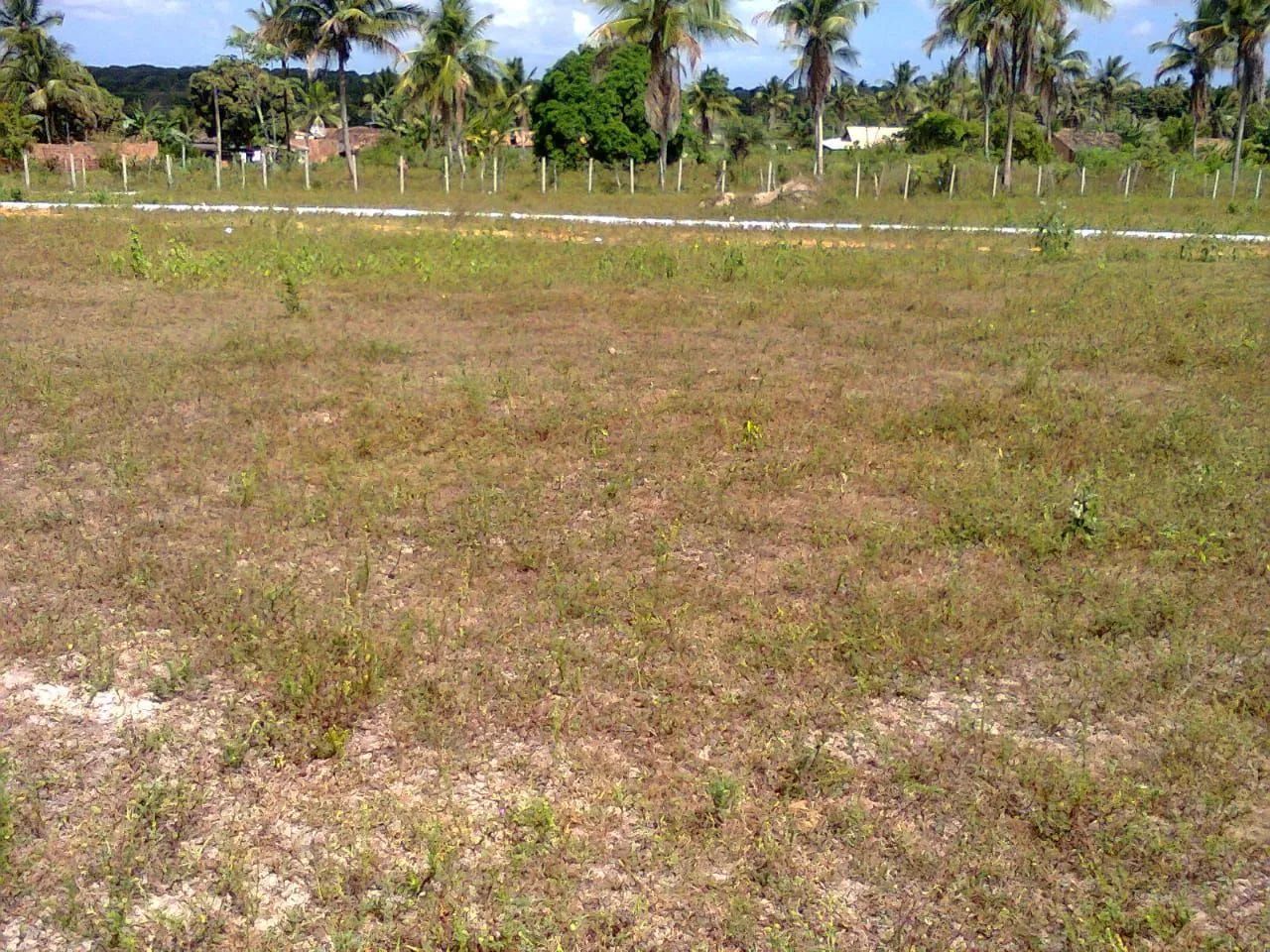 Terreno em itapuranga - Foto 2