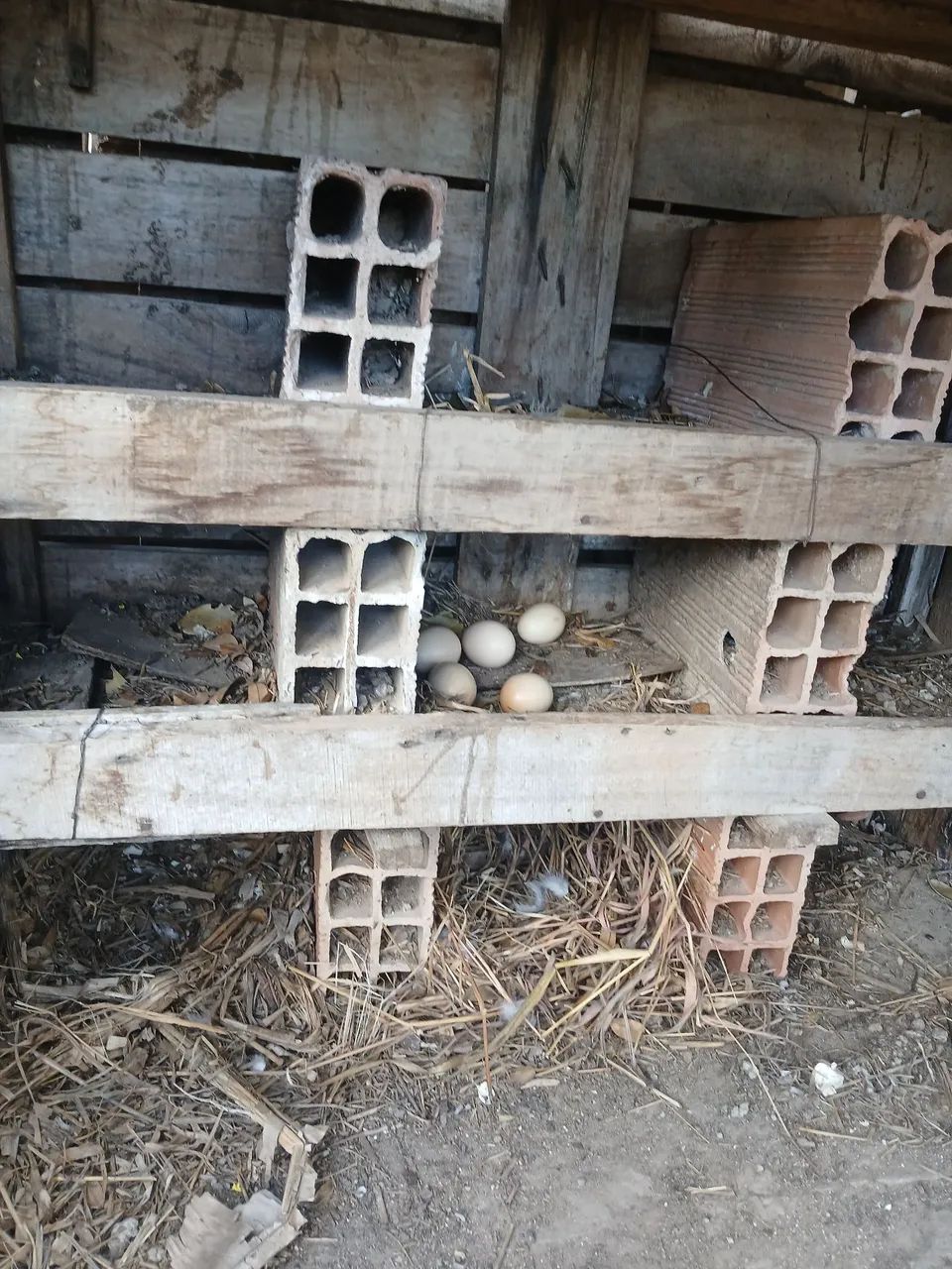 Vendo chácara  - Foto 4