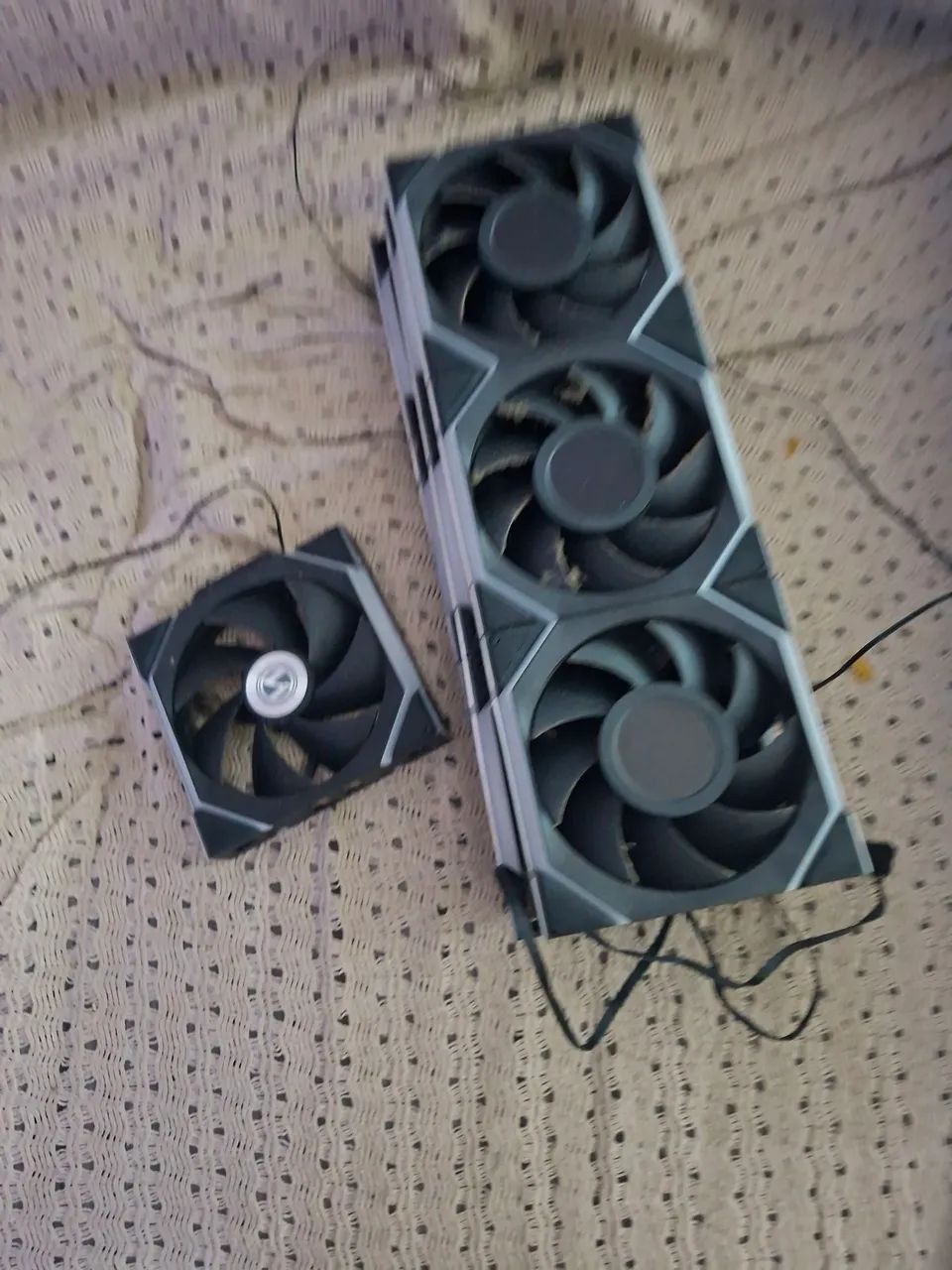 Fan liani