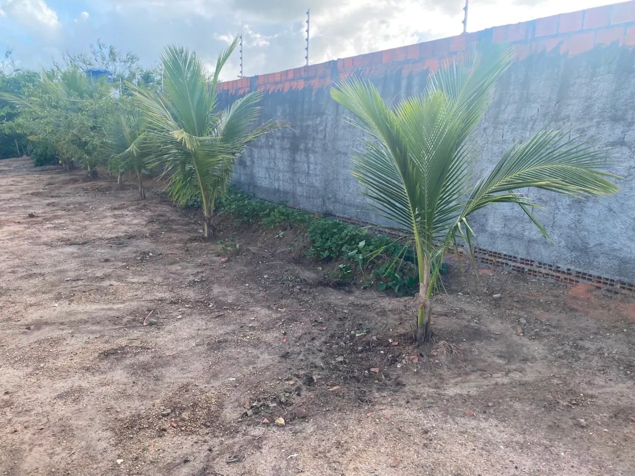 Terreno 