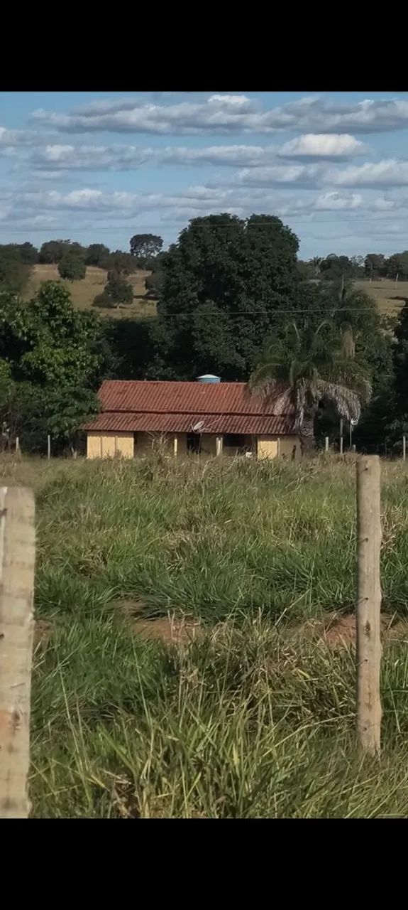 Vendo Chácara 6,5 Alqueires 