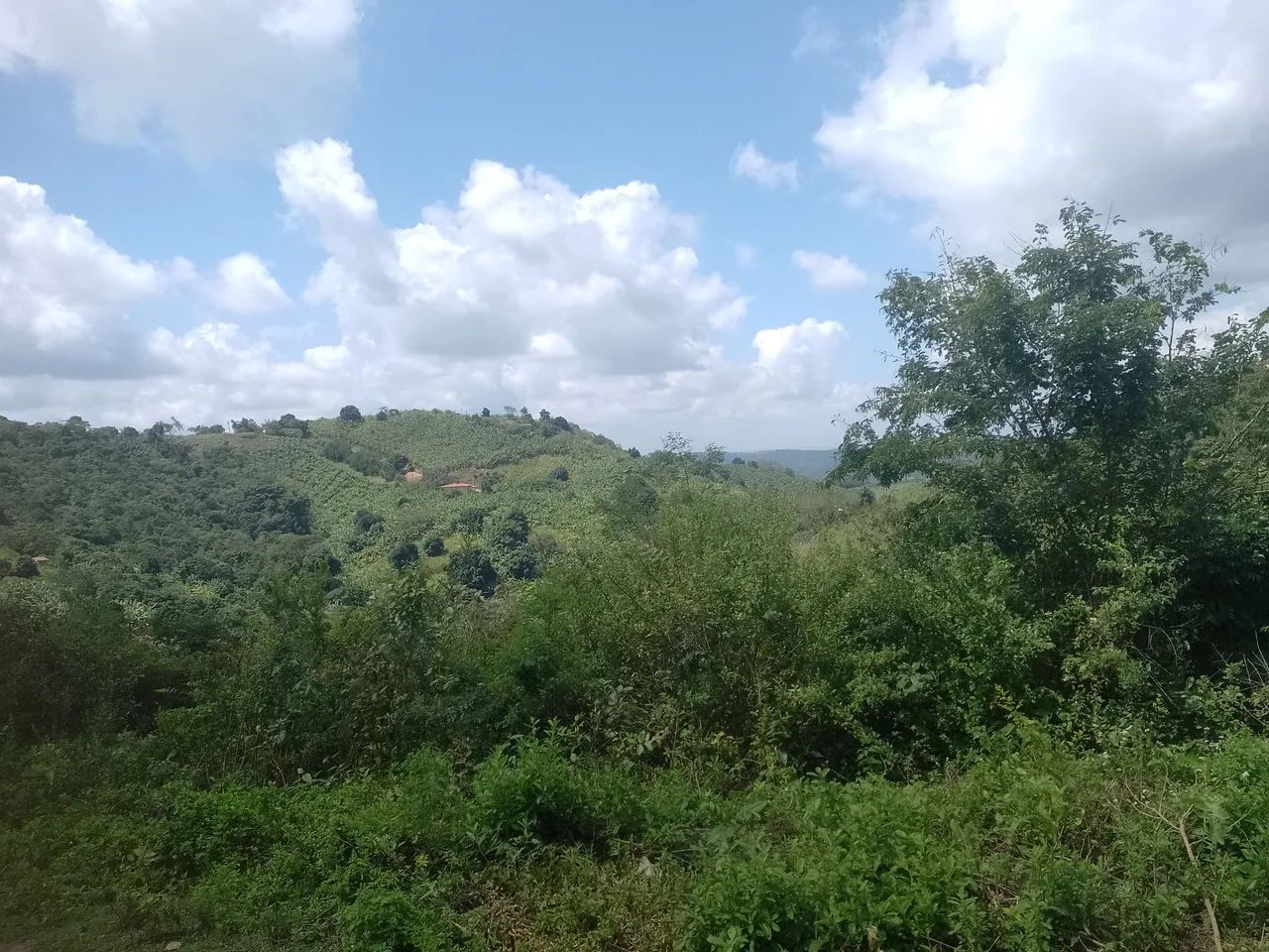 Fazenda Alagoa Nova. - Foto 3