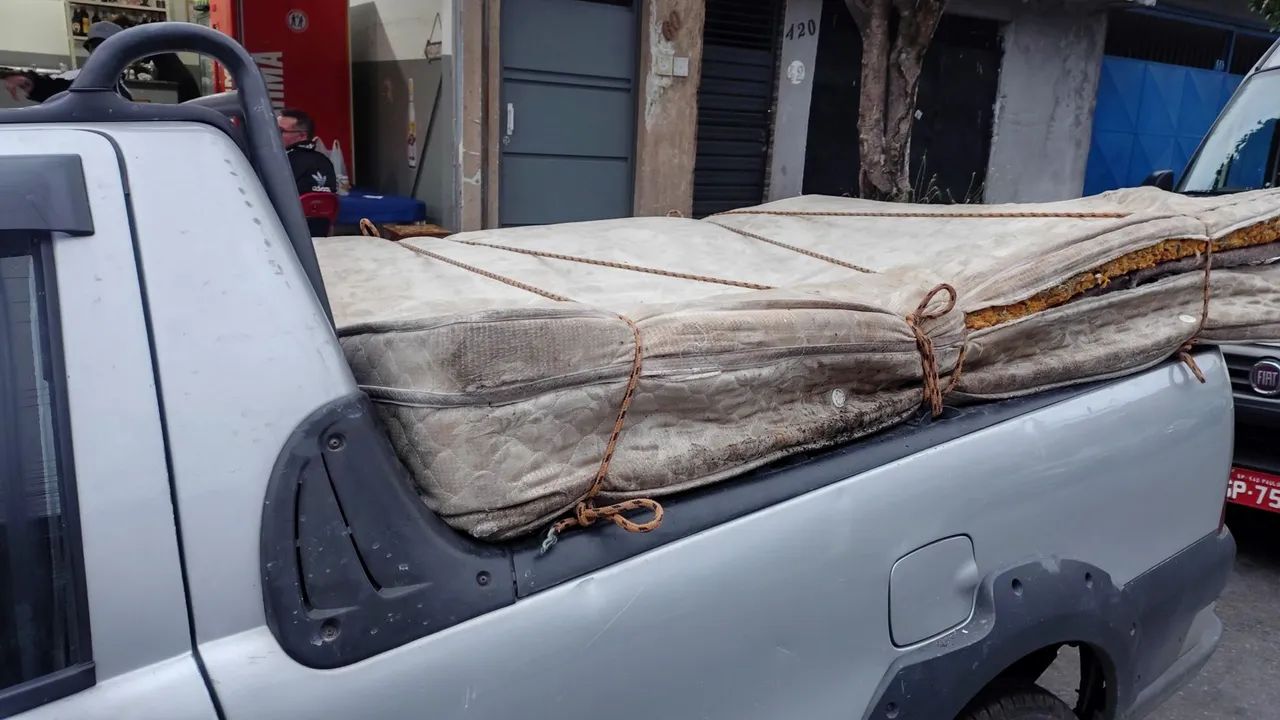 Remoção de entulhos, móveis e podas  - Foto 4