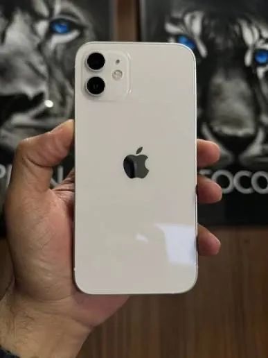 iPhone 12 
