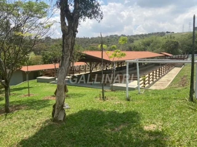 sítio - Área Rural de Cosmópolis - Cosmópolis