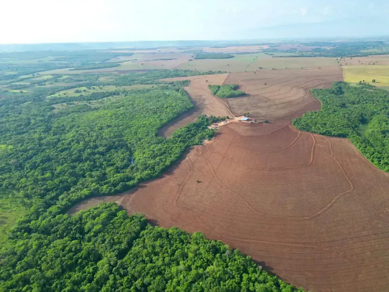 FAZENDA COM 230 HECTARES A VENDA EM ROCHEDO/MS - Foto 4