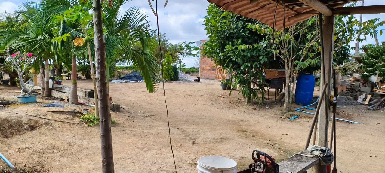 Sítio/terreno em produção  - Foto 2