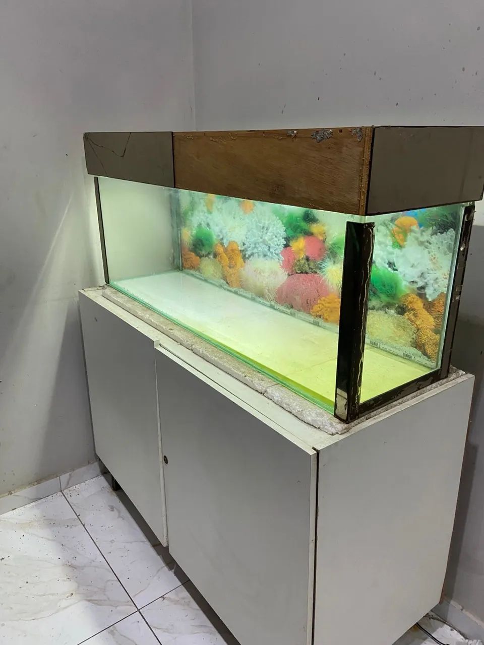 Aquario  - Foto 6