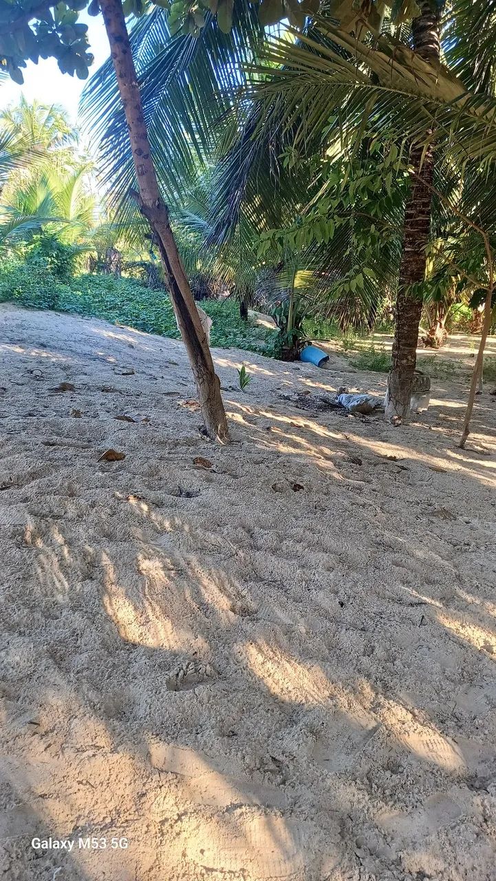 Vendo um terreno na praia 