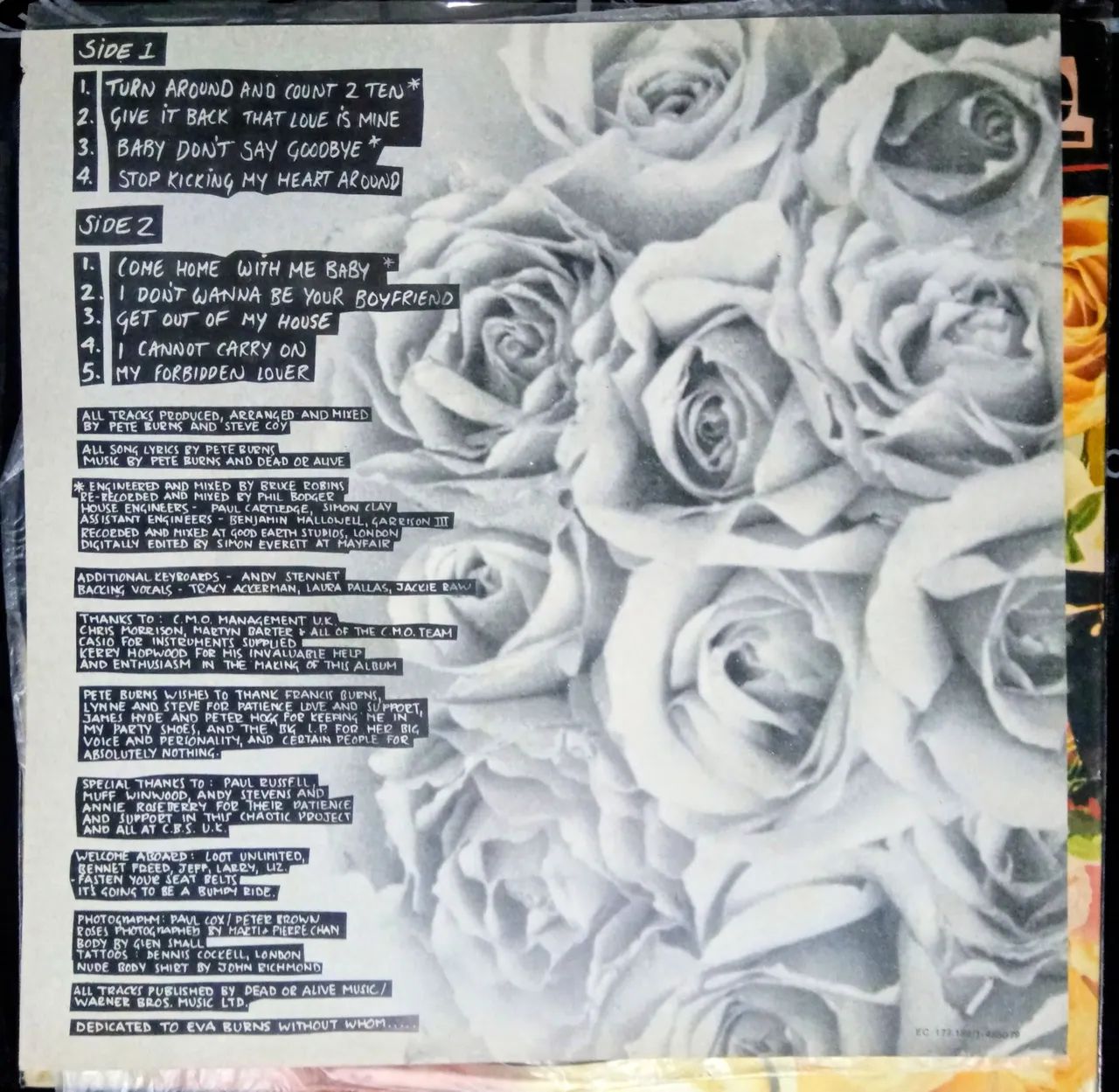 LP Dead or alive - Nude! - Foto 4