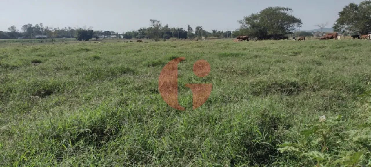 Sítio / Haras com casa sede para venda em Pindamonhangaba - SP - Foto 3