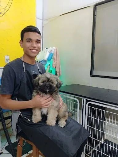 Shihtzu macho - Foto 3