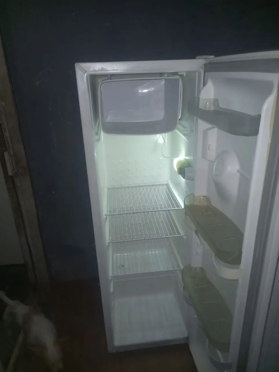 Geladeira consul